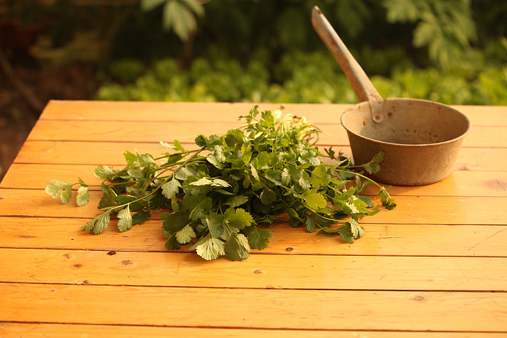 green leaves beside brown cooking pot on brown wooden table closeup photography