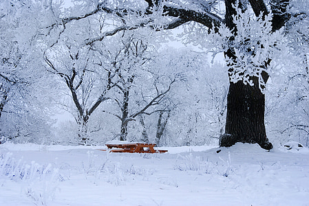 brown wooden picnic table surrounded by snow covered trees