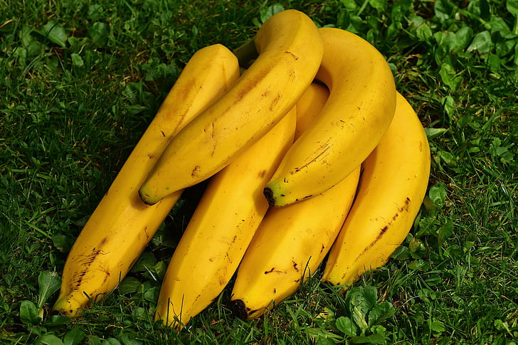 bananas on green field