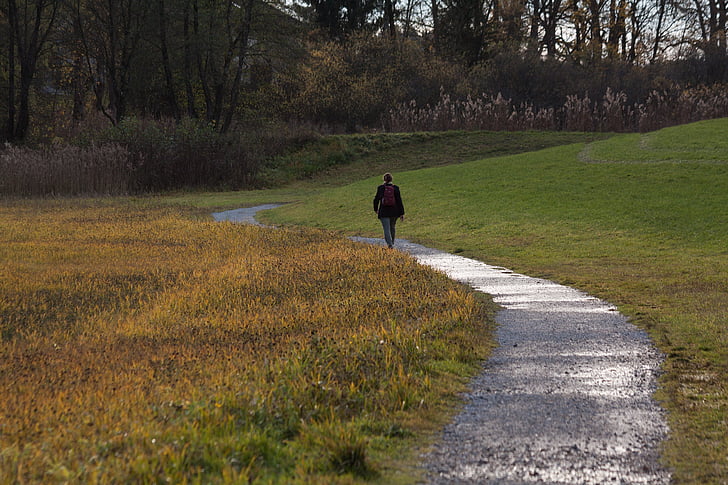 person walking along grass field pathway