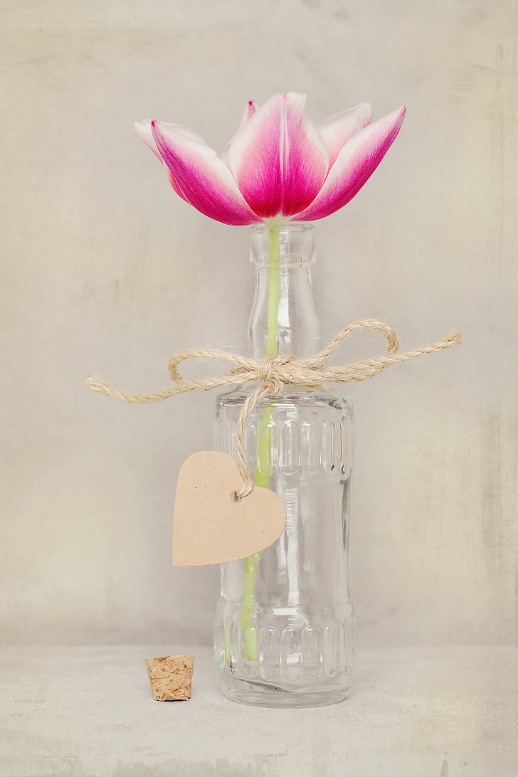 white and pink flower in clear glass bottle decor