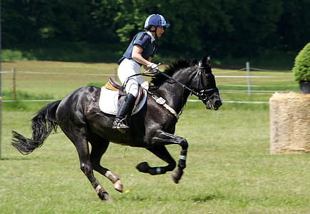 jockey in blue uniform riding black horse
