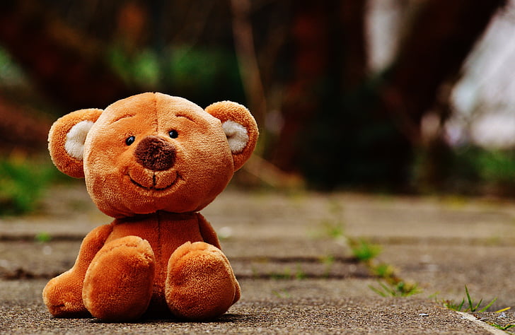 brown bear plush toy on gray concrete surface