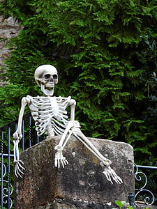 skeleton sitting on rock during daytime