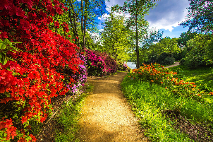 flowers and plants beside brown pathway