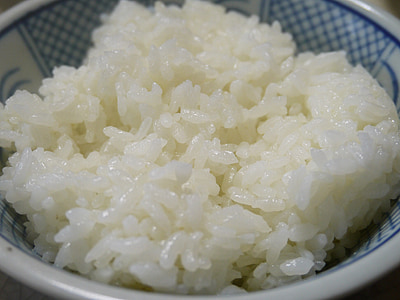 cooked rice in white and blue ceramic bowl
