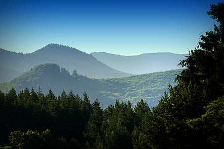aerial photo of mountains and forest