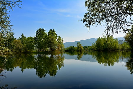 calm body of water surrounded by trees