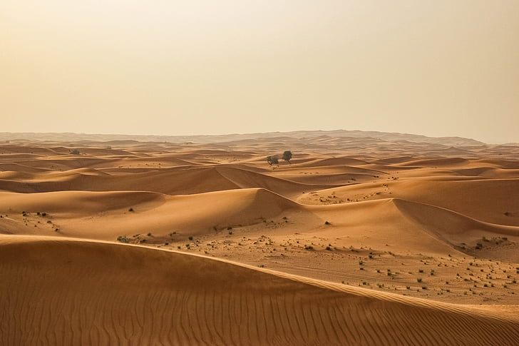 photography of desert