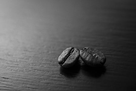 grayscale photo of coffee bean