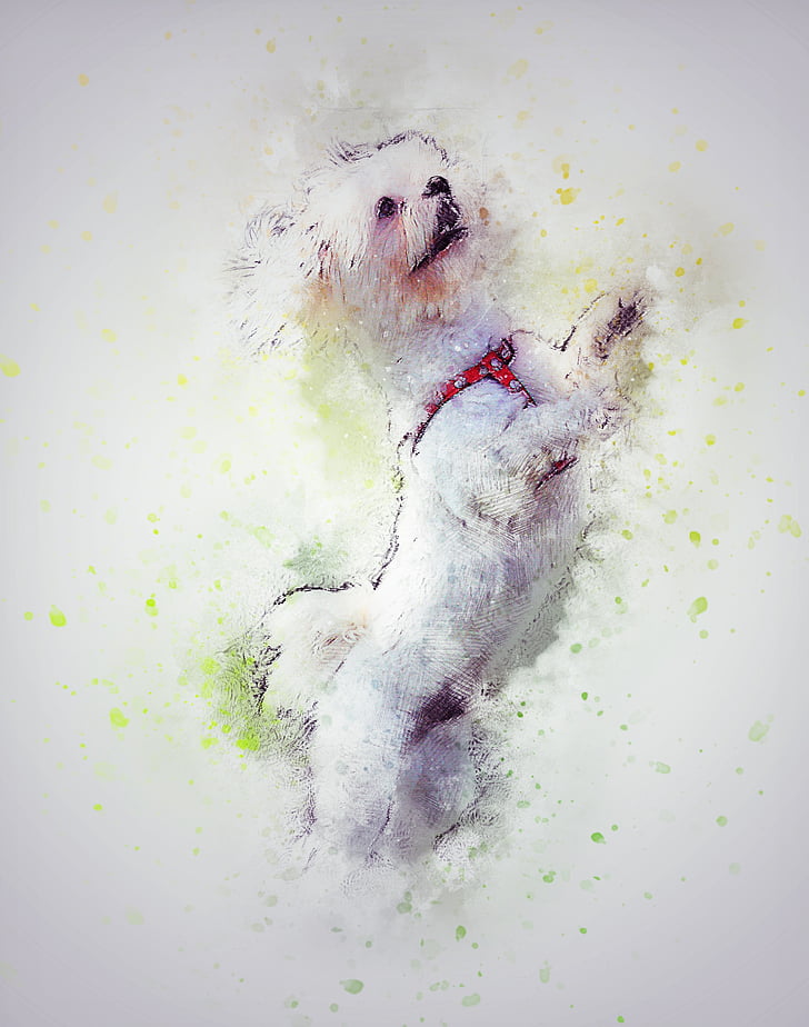 white dog painting