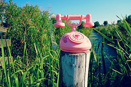pink rotary telephone on gray log