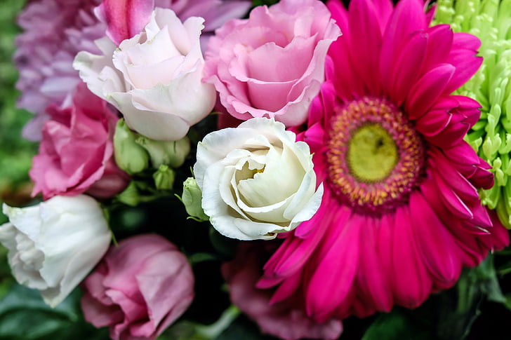 closeup photo of white and pink flower bouquet