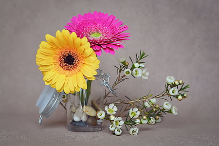 yellow and pink daisy flowers in glass vase