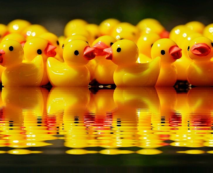 yellow rubber duckies on body of water