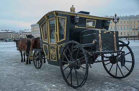 black and brown carriage in daytime
