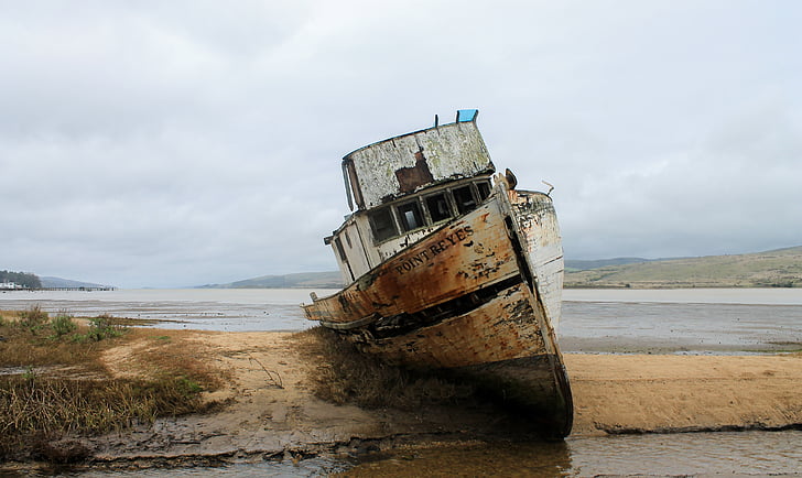 white and grey fishing boat on shore