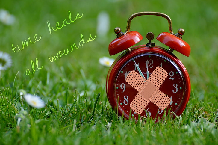 shallow focus photography of red alarm clock on grass field
