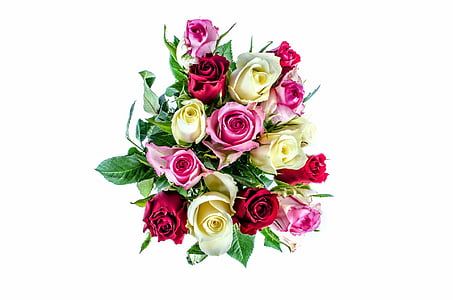 pink, white, and red rose bouquet with green leaf decoration
