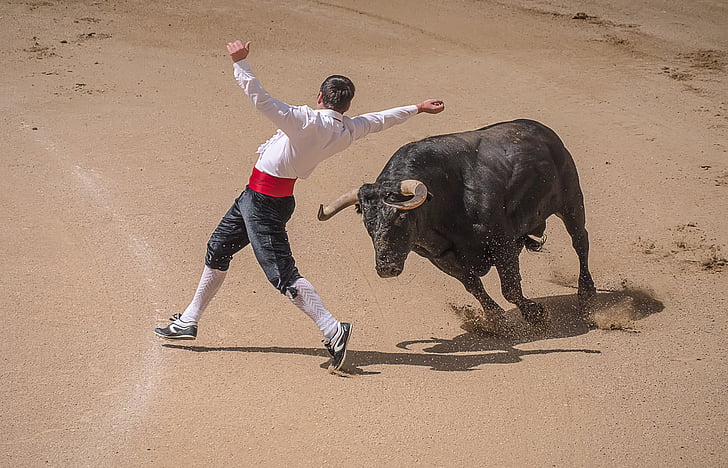 photo of matador dodging charging bull bull