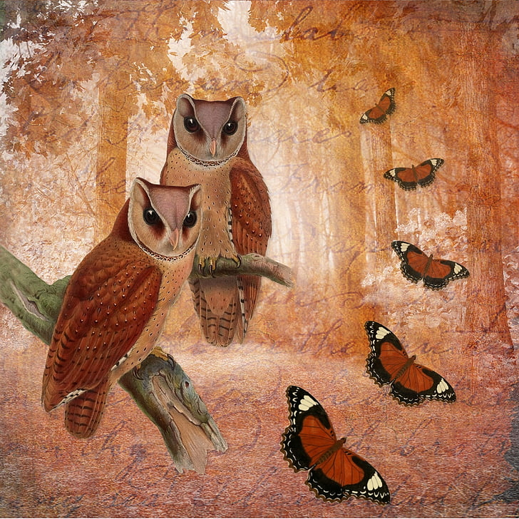 two owls and and five butterflies paintings