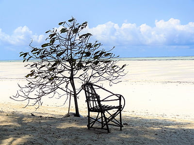 black wooden armchair on brown sand