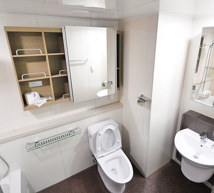 white flush toilet with cupboard with mirror on top