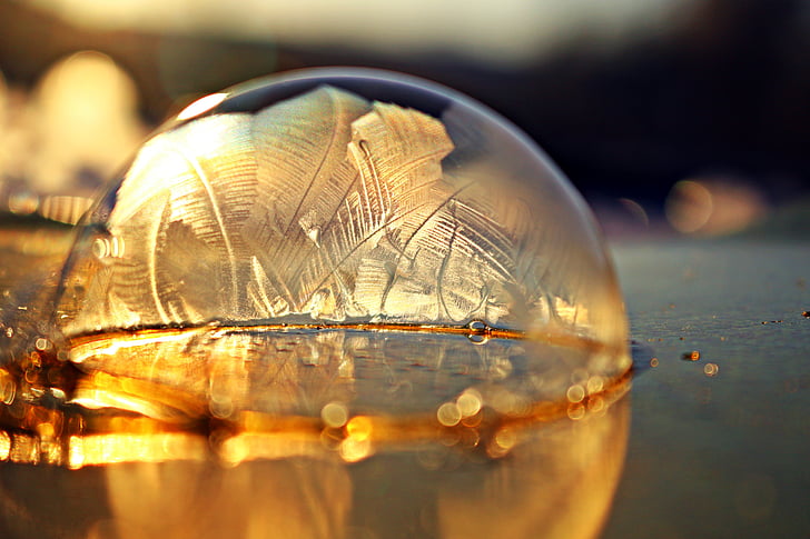 macro photography of brown bubble