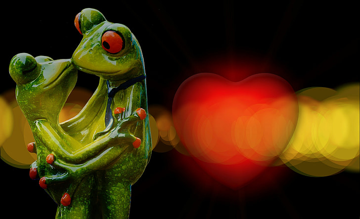 bokeh photography of couple red-eyed frog