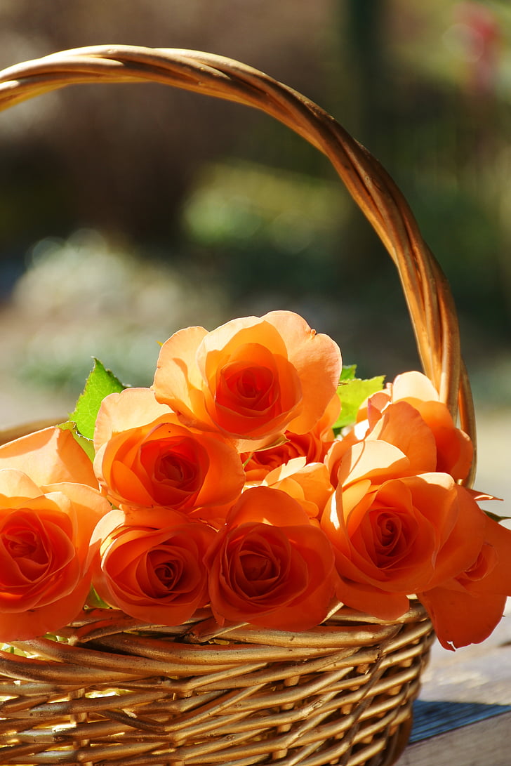 close up photo of basket of orange roses