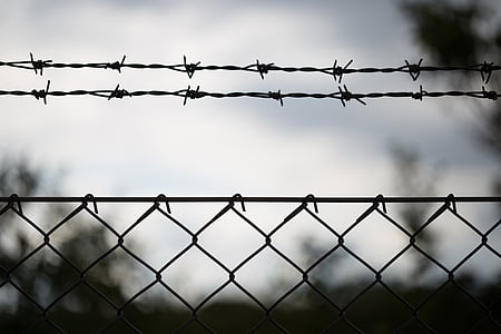 graysacle photo of barbed wire