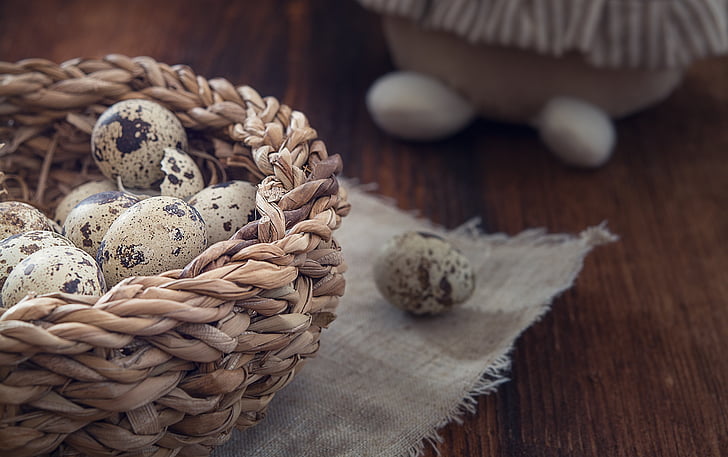 basket of quail eggs