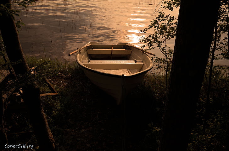 brown jon boat near shore during sunset