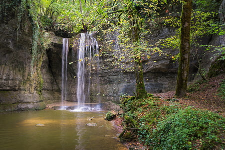 waterfalls surrounded by trees photo