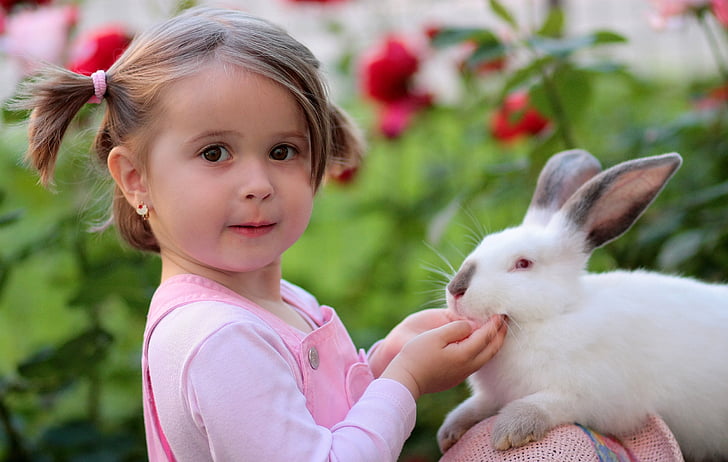 girl wearing pink dungarees holding white rabbit