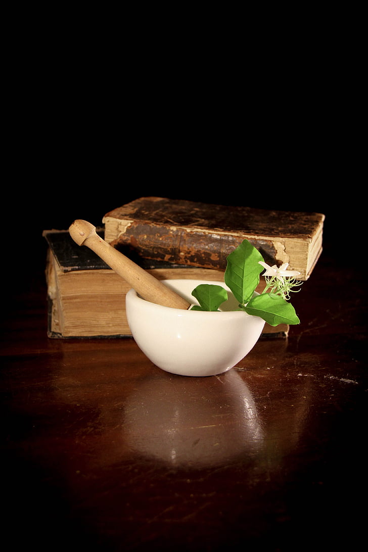 mortar and pestle with green leaves beside books
