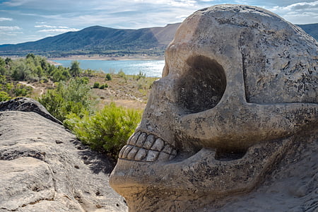 gray skull rock formation during daytime