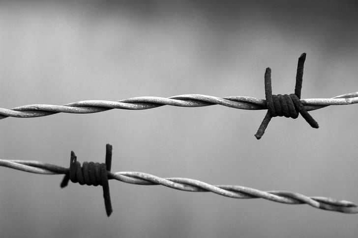 grayscale photo of barbed wires