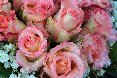 selective-focus photography of bouquet of white-and-pink flowers