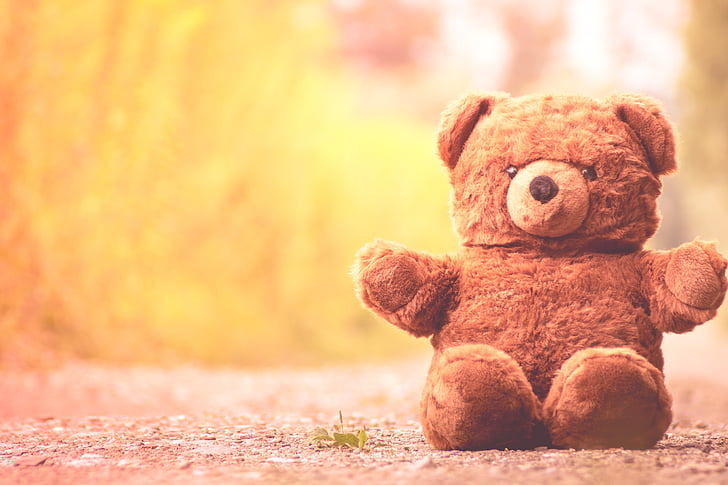 shallow focus photography of a bear plush toy