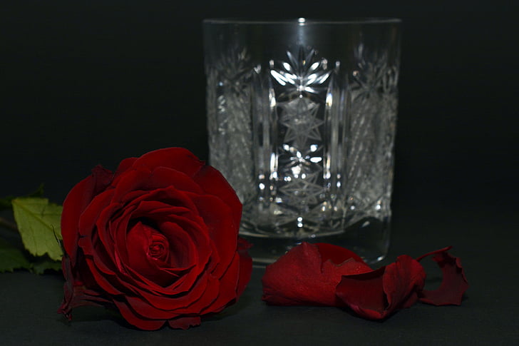 crystal cut drinking glass beside red rose