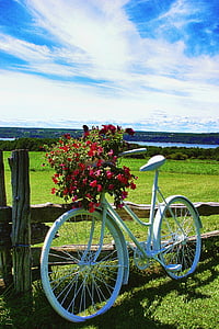 bicycle with flowers on basket