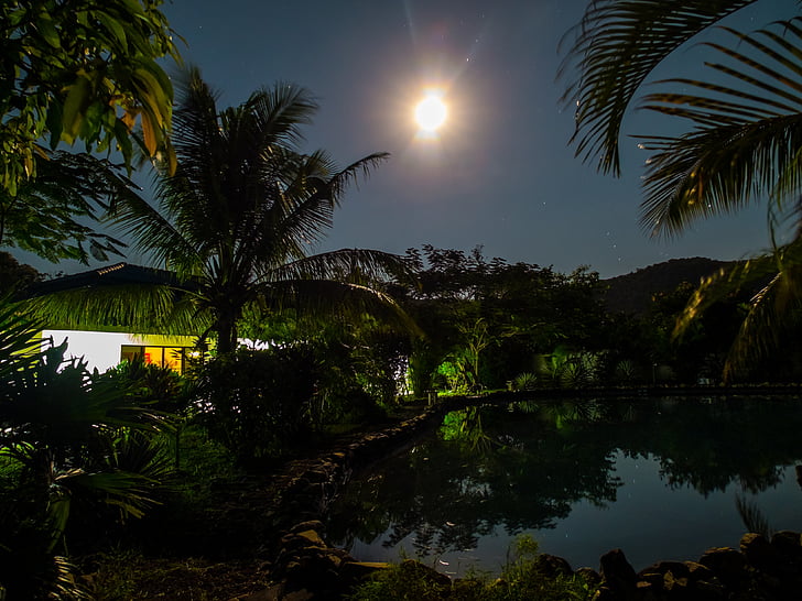 pond with trees at night with moon