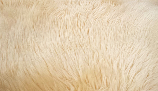white fur