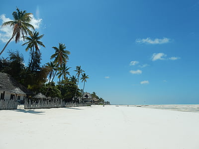 photo of beach at daytime