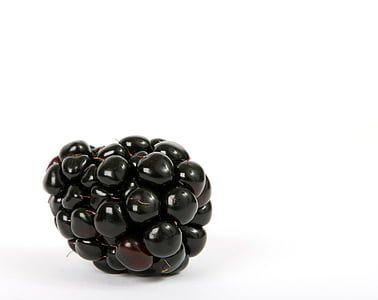 blackberry with white background photo