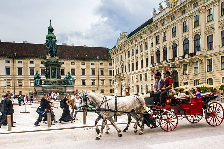 group of people riding horse carriage during daytime