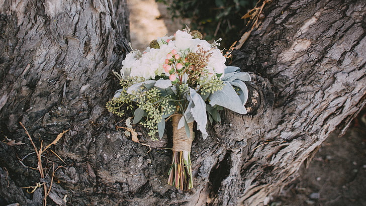 bouquet of flowers on tree log