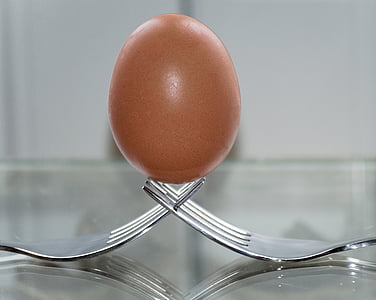 brown poultry egg on forks