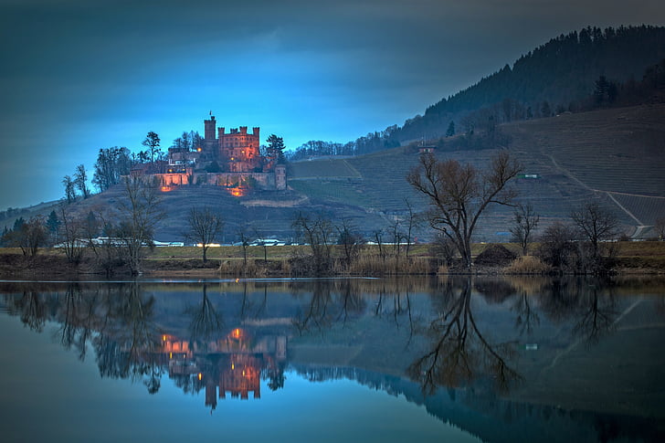 reflective photography of trees and castle